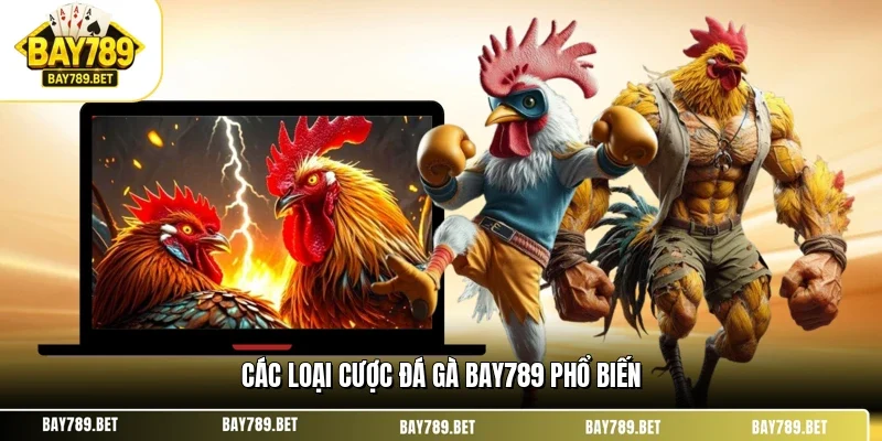 Các Loại Cược Đá Gà BAY789 - Hướng Dẫn Chi Tiết Cho Kê Thủ 1 Các loại cược đá gà BAY789 phổ biến